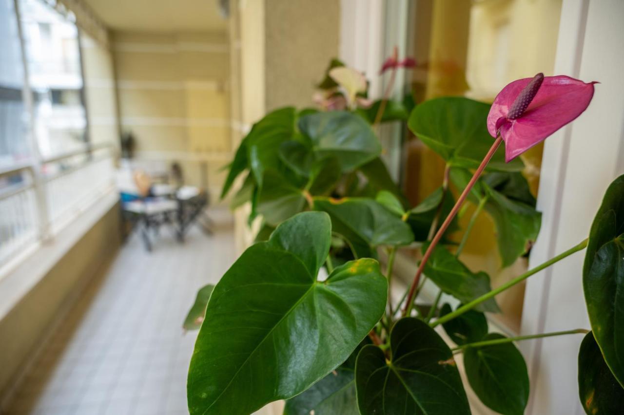 Souvenir 7 Apartment